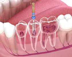 Catalin Dumitru Dental - Clinici stomatologice